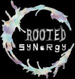 Rooted Synergy Gallery
